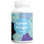 Pylocare 60 capsules Margan Biotech
