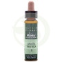 Elixir Floral 1 Agrimoine 10Ml. Plantis