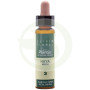 Elixir Floral 3 Hêtre 10Ml. Plantis