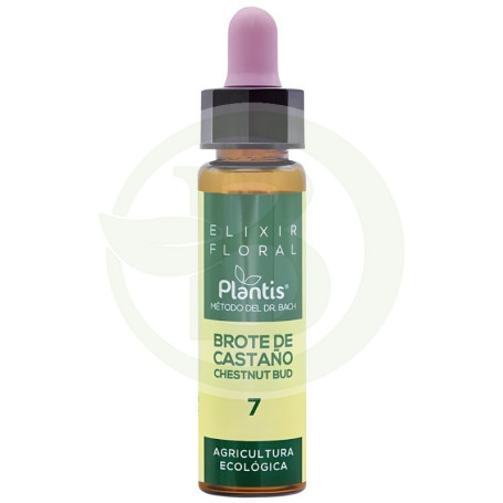Elixir Floral 7 Bourgeon de Châtaigne 10Ml. Plantis
