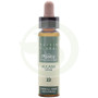 Elixir Floral 13 Gorse 10Ml. Plantis