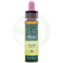 Élixir floral 15 houx 10Ml. Plantis
