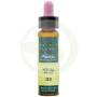 Elixir Floral 33 Noyer 10Ml. Plantis