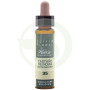 Elixir Floral 35 Marron d'Inde 10Ml. Plantis
