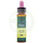 Elixir Floral 38 Sauce 10Ml. Plantis