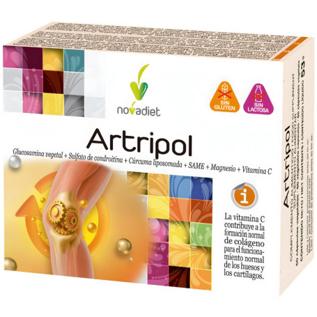 Artripol 60 capsules Novadiet