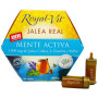 Royal-Vit Active Mind 20 ampoules Royal-Vit