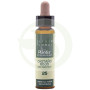 Élixir Floral 25 Marronnier Rouge 10ml Plantis