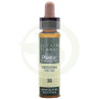 Elixir Floral 31 Verveine 10Ml. Plantis