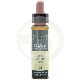 Élixir floral 36 Avena Sil 10Ml. Plantis