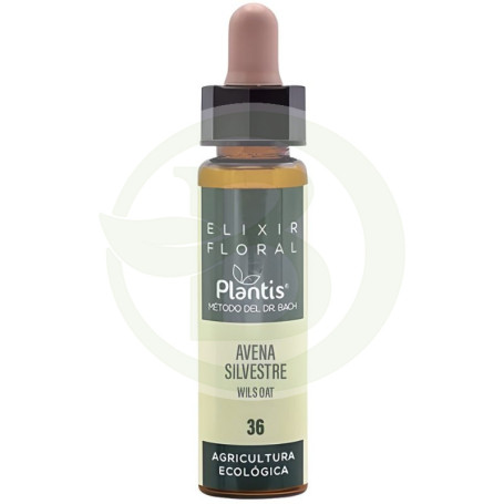Élixir floral 36 Avena Sil 10Ml. Plantis