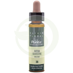 Élixir floral 36 Avena Sil 10Ml. Plantis