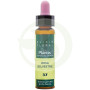 Elixir Floral 37 Rosa Sil 10Ml. Plantis