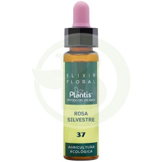 Elixir Floral 37 Rosa Sil 10Ml. Plantis