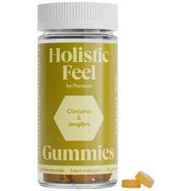 Holistic Feel 60 Gummies Plameca