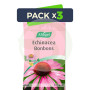 Pack 3x Echinacea Bonbons Vogel 75Gr.