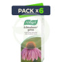 Pack 6x Echinaforce Gotas Vogel 50Ml.