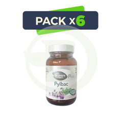 Pack 6x Pylbac 60 Perles El Granero