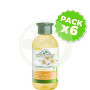 Pack 6x Champú Henna Cabello Rubio 300Ml. Corpore Sano