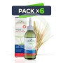 Pack 6x Tónico Capilar Anticaida 150Ml. Corpore Sano