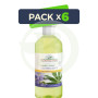 Pack 6x Champú Uso Frecuente (Lino-Cañamo) 500Ml. Corpore Sano