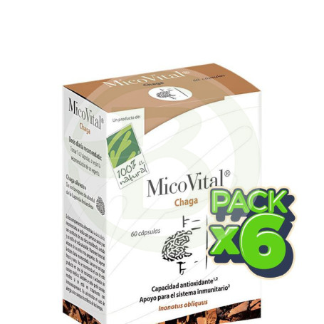 Pack 6x Micovital Chaga 60 Cápsulas 100% Natural