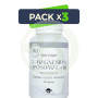 Pack 3x Magnesium 2 Liposomal + B6 90Capsulas Espadiet