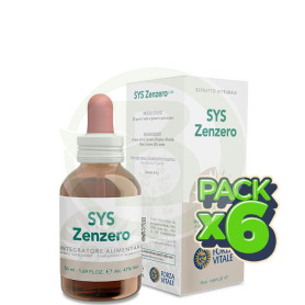 Pack 6x Sys Zenzero 50Ml. Forza Vitale