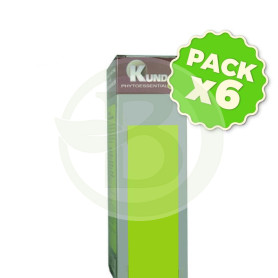 Pack 6x Champú Coco 250Ml. Kunda Plus