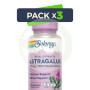 Pack 3x Astragalus Extracto De Raíz 200Mg 30 Cápsulas Vegetales Solaray