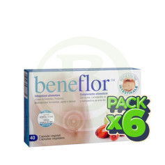 Pack 6x Beneflor 40 Gélules (Bacil) Santiveri