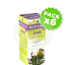 Pack 6x Propolina Eco Jarabe 200Ml Artesania Agricola