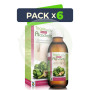 Pack 6x Alcachofa Activ 200Ml. Tegor