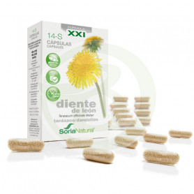 Pissenlit Formula XXI Soria Naturel