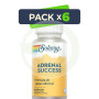 Pack 6x Adrenal Success Solaray 60 cápsulas