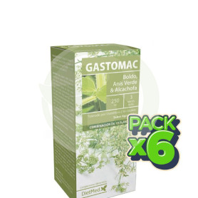 Pack 6x Gastomac 250Ml. Dietmed