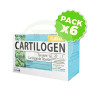 Pack 6x Cartilogen Elastic 20 Ampollas Dietmed