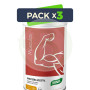 Pack 3x Dynamic Proteína Vegetal Vainilla 455G Santiveri