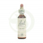 Fleurs d'Olivier Bach (Olive) 20Ml. Bach