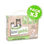 Pack 3x Kowi Gastric, 60 Comprimidos Kowi Nature