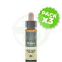 Pack 3x Elixir Floral 21 Mustard 10Ml. Plantis