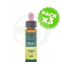 Pack 3x Elixir Floral 22 Roble 10ml Plantis