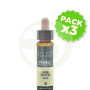 Pack 3x Elixir Floral 36 Avena Silvestre 10ml Plantis