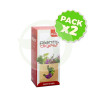 Pack 2x Digest 250Ml. Plantis