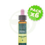 Pack 6x Elixir Floral 5 Ceratostigma 10Ml. Plantis