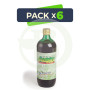Pack 6x Aloin ECO 1Lt. Plantis