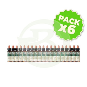 Pack 6x Elixir Floral 3 Beech 10Ml. Plantis