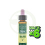 Pack 6x Elixir Floral 7 Chestnut Bud 10Ml. Plantis