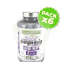 Pack 6x Bisglicinato De Magnesio 120 Comprimidos Pinisan