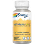 Ashwagandha Shoden avec Magnésium 60 Gélules Végétales Solaray